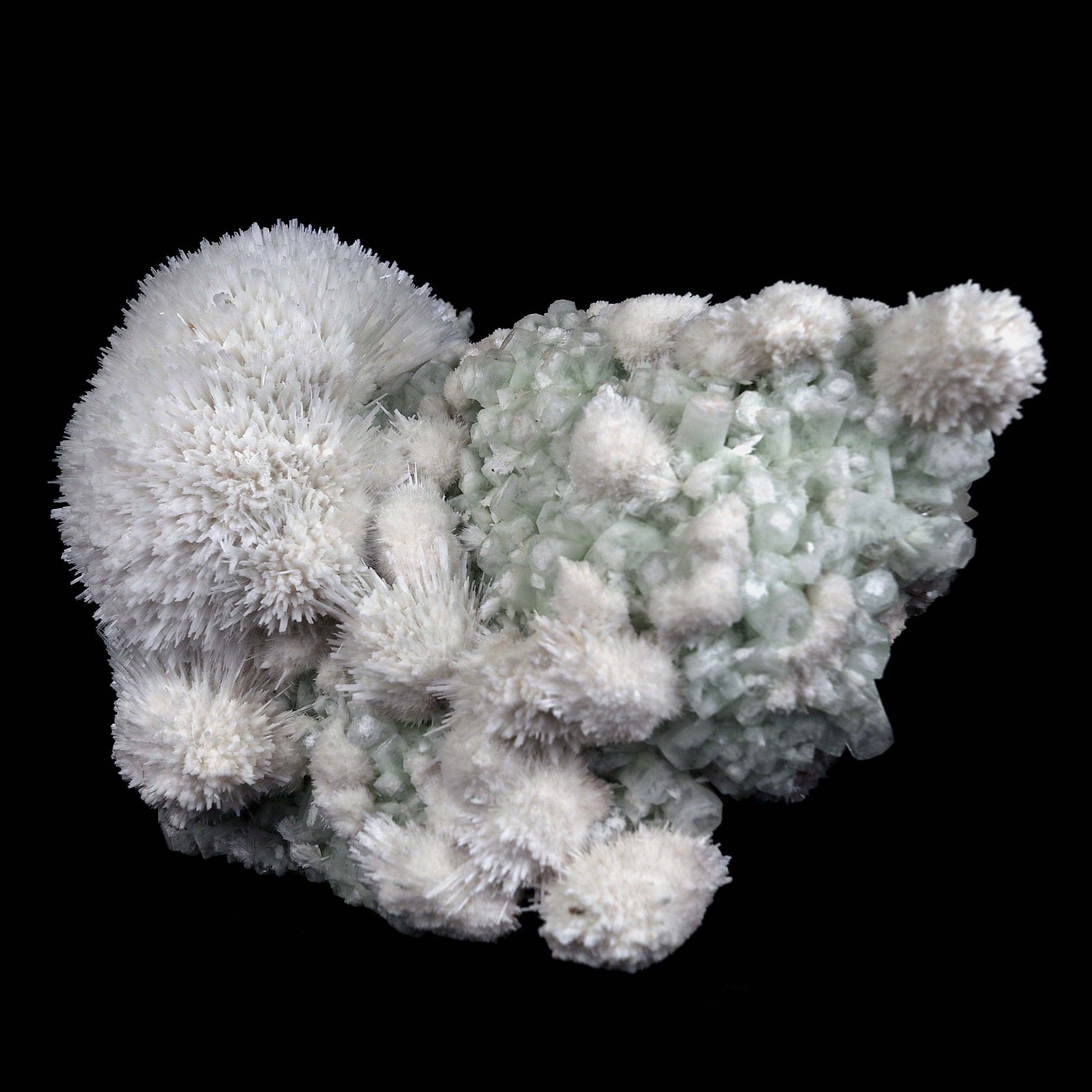 Scolecite Hemispheres with Apophyllite on Stilibite Natural Mineral Sp…  https://www.superbminerals.us/products/scolecite-hemispheres-with-apophyllite-on-stilibite-natural-mineral-specimen-b-4421  Features:A stunning specimen featuring a large, hemispherical formation of colorless, transparent, lustrous acicular Scolecite crystals on peach-colored Stilbite. An amazing piece with superb crystal formation, contrast, luster and contrast. In excellent condition. A great addition to any collection.