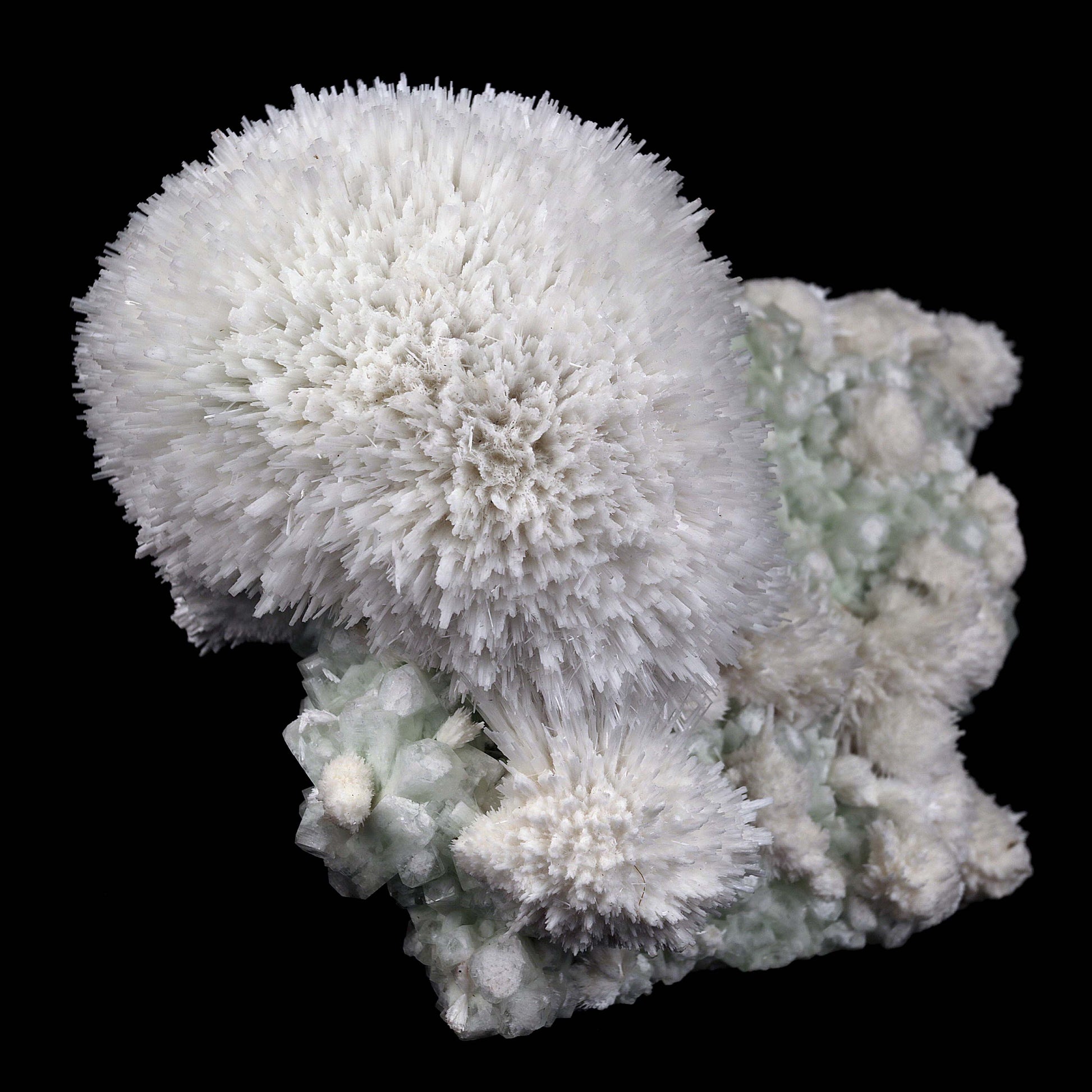 Scolecite Hemispheres with Apophyllite on Stilibite Natural Mineral Sp…  https://www.superbminerals.us/products/scolecite-hemispheres-with-apophyllite-on-stilibite-natural-mineral-specimen-b-4421  Features:A stunning specimen featuring a large, hemispherical formation of colorless, transparent, lustrous acicular Scolecite crystals on peach-colored Stilbite. An amazing piece with superb crystal formation, contrast, luster and contrast. In excellent condition. A great addition to any collection.