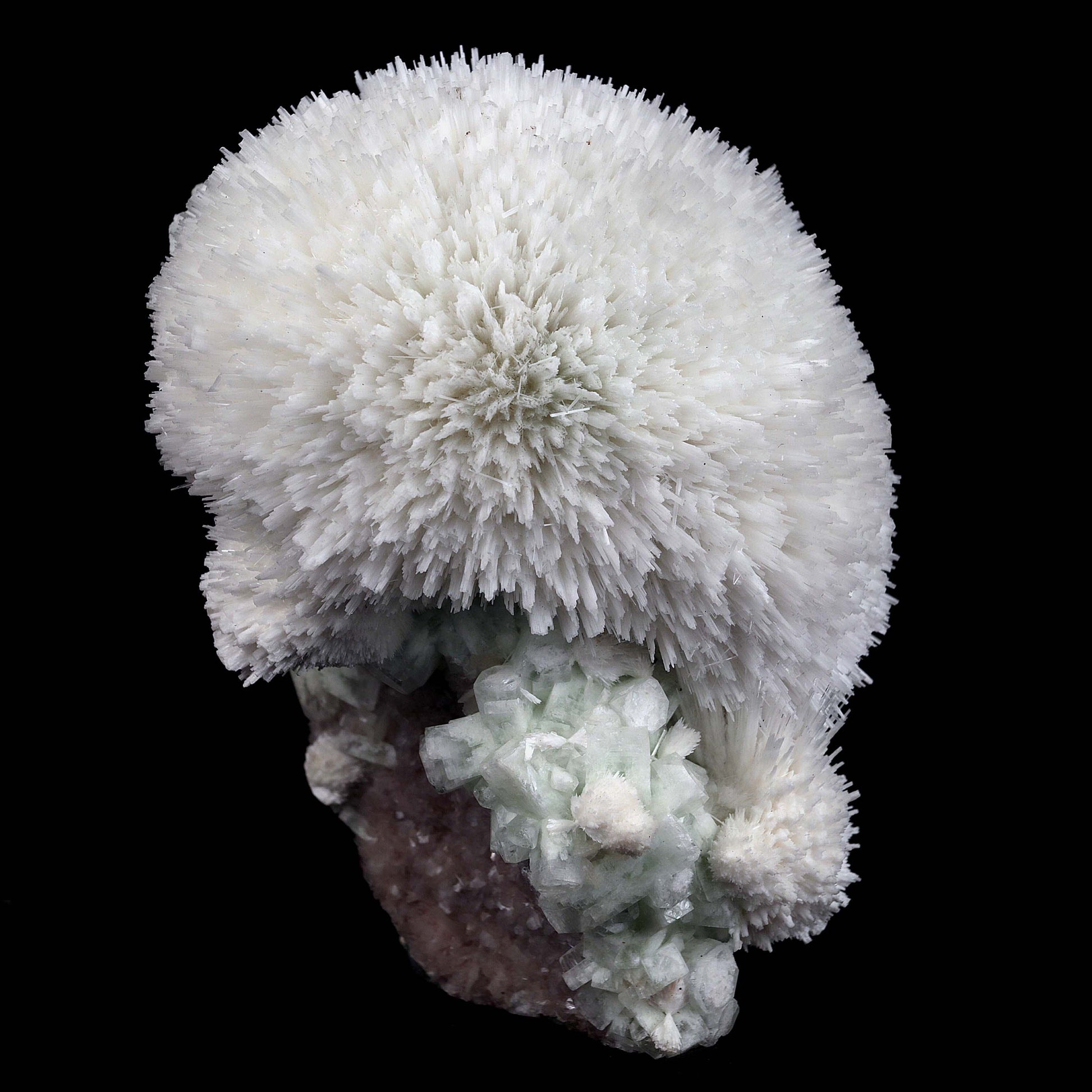 Scolecite Hemispheres with Apophyllite on Stilibite Natural Mineral Sp…  https://www.superbminerals.us/products/scolecite-hemispheres-with-apophyllite-on-stilibite-natural-mineral-specimen-b-4421  Features:A stunning specimen featuring a large, hemispherical formation of colorless, transparent, lustrous acicular Scolecite crystals on peach-colored Stilbite. An amazing piece with superb crystal formation, contrast, luster and contrast. In excellent condition. A great addition to any collection.