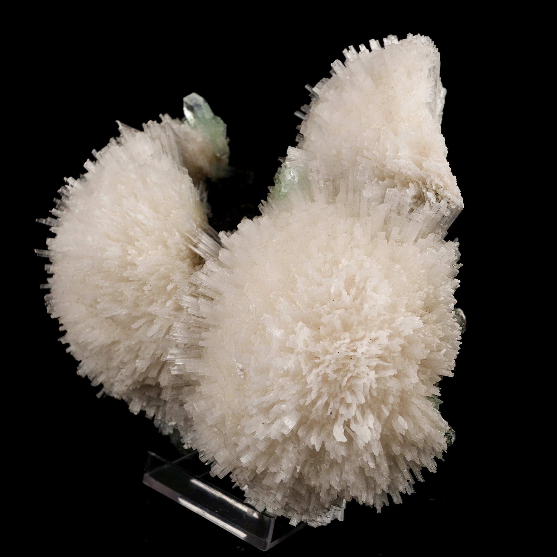 Scolecite Huge Spray on Green Apophyllite Cube Natural Mineral Specimen #5667 scolecite Superb Minerals 