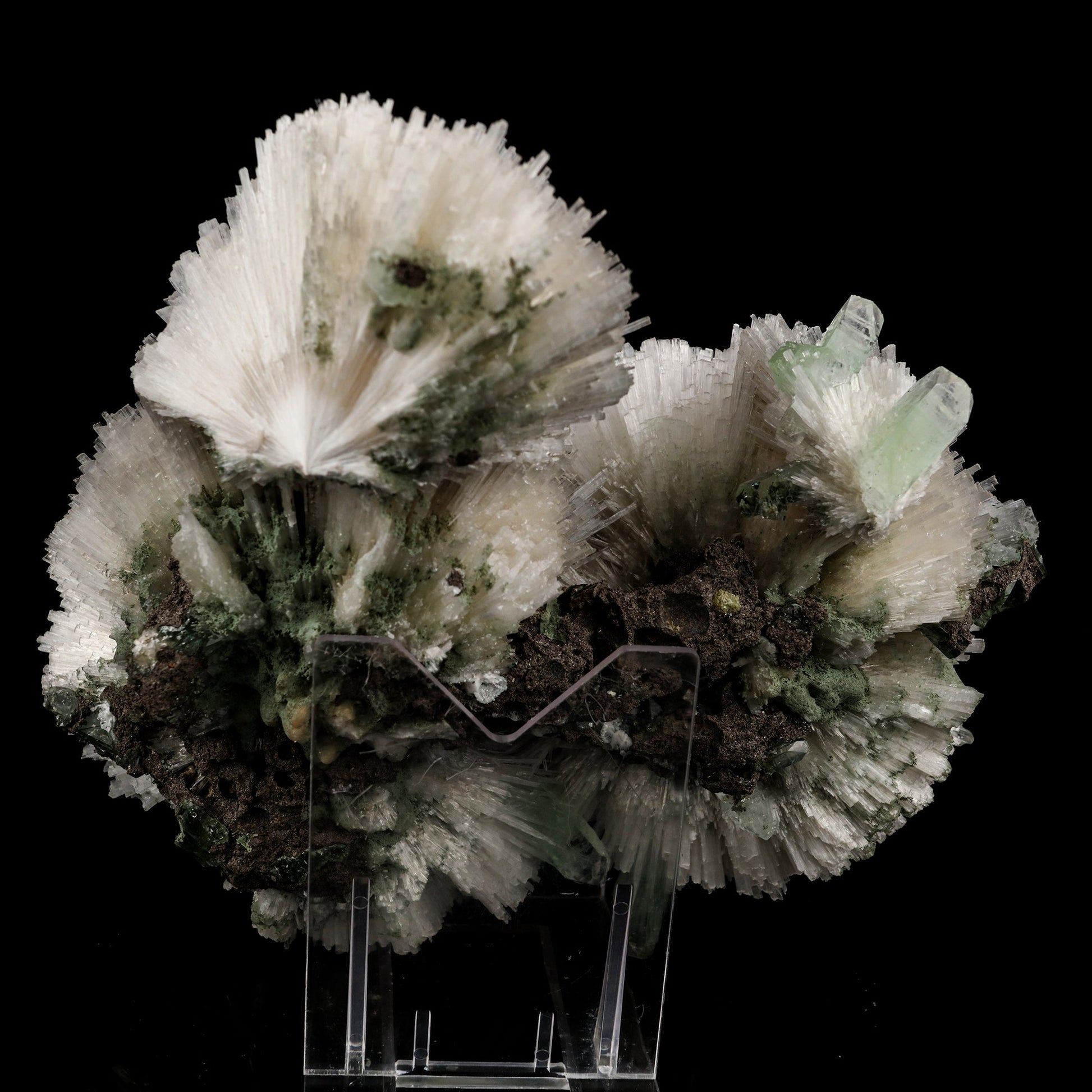 Scolecite Huge Spray on Green Apophyllite Cube Natural Mineral Specimen #5667 scolecite Superb Minerals 