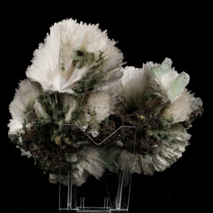Scolecite Huge Spray on Green Apophyllite Cube Natural Mineral Specimen #5667 scolecite Superb Minerals 