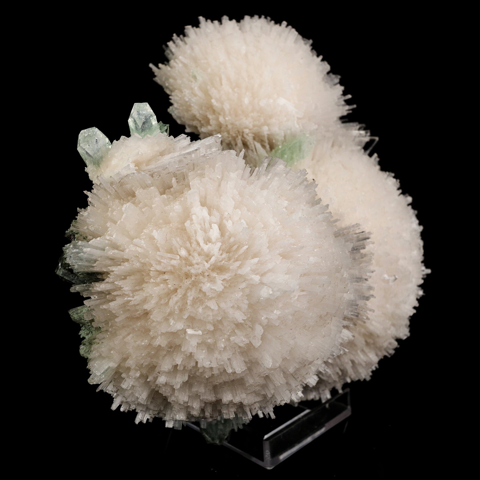 Scolecite Huge Spray on Green Apophyllite Cube Natural Mineral Specimen #5667 scolecite Superb Minerals 