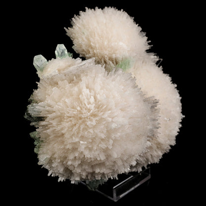 Scolecite Huge Spray on Green Apophyllite Cube Natural Mineral Specimen #5667 scolecite Superb Minerals 