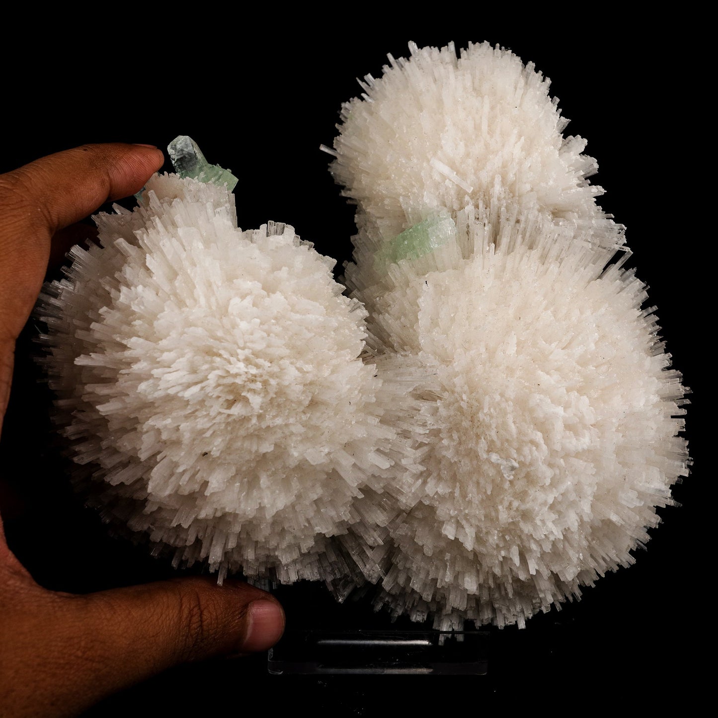 Scolecite Huge Spray on Green Apophyllite Cube Natural Mineral Specimen #5667 scolecite Superb Minerals 