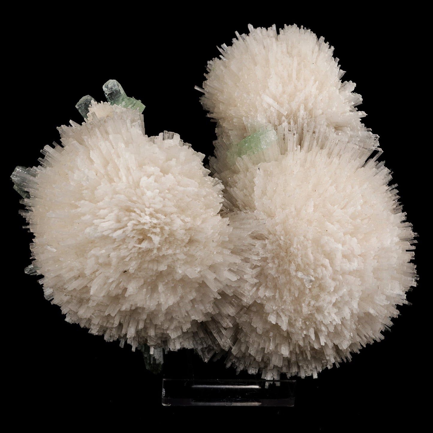Scolecite Huge Spray on Green Apophyllite Cube Natural Mineral Specimen #5667 scolecite Superb Minerals 
