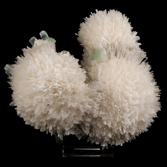 Scolecite Huge Spray on Green Apophyllite Cube Natural Mineral Specimen #5667 scolecite Superb Minerals 