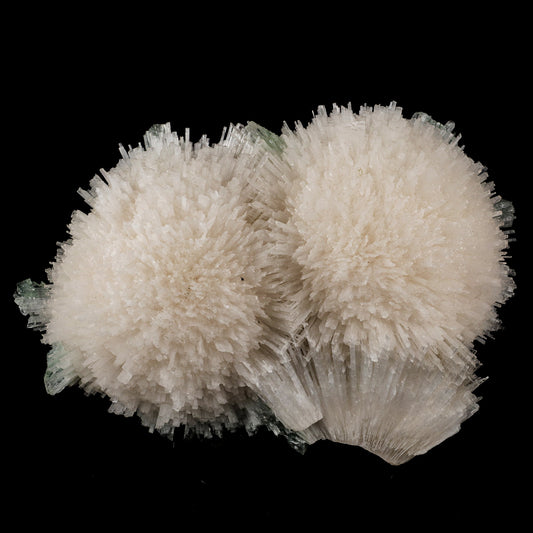 Scolecite Huge Spray with Green Apophyllite Cube Natural Mineral Specimen # B 5725 Scolecite Superb Minerals 