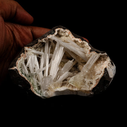 Scolecite Intergrown Sprays Inside Heulandite Geode Natural Mineral Sp…  https://www.superbminerals.us/products/scolecite-intergrown-sprays-inside-heulandite-geode-natural-mineral-specimen-b-5140  Features: Crystals of milky white scolecite grown on matrix of reddish heulandite inside a geode. Unwanted rock by the side of the specimen is cut using saw. Primary Mineral(s): Scolecite Secondary Mineral(s): N/AMatrix: Heulandite 4 Inch x 3 InchWeight : 462 GmsLocality: Aurangabad, Maharashtra, 