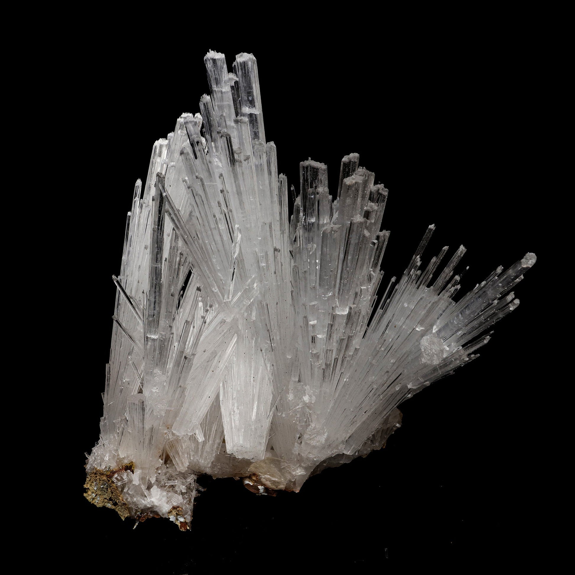 Scolecite Intergrown Sprays on Stilbite Natural Mineral Specimen # B …  https://www.superbminerals.us/products/scolecite-intergrown-sprays-natural-mineral-specimen-b-5207  Features: Recent discoveries in Nashik have yielded some spectacular intergrown jackstraw sprays of glassy, iridescent, clear to translucent scolecite prism. STUNNING. The stunning crystals extend in every direction. Primary Mineral(s): ScoleciteSecondary Mineral(s): N/AMatrix: N/A 6 Inch x 5 InchWeight : 505 