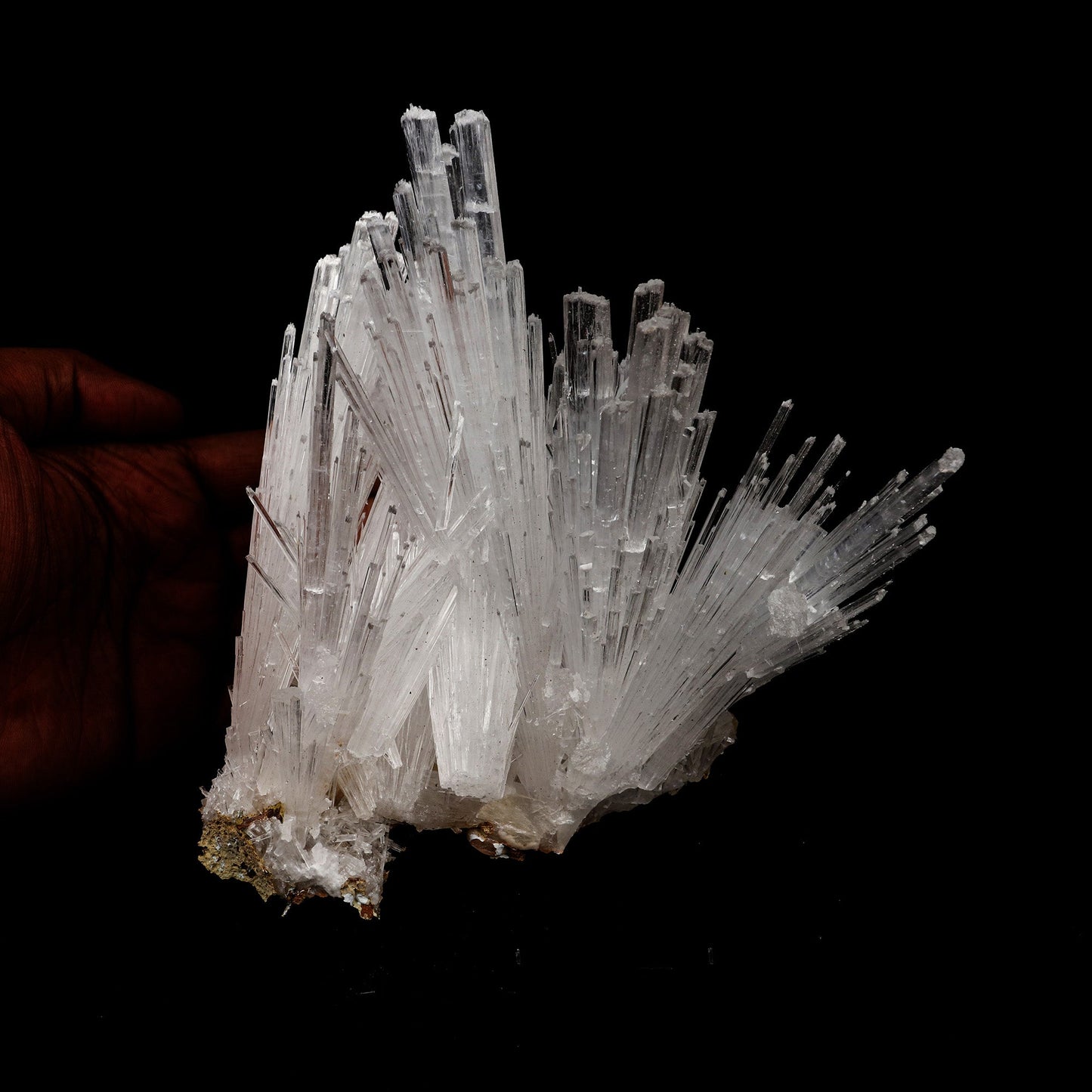 Scolecite Intergrown Sprays on Stilbite Natural Mineral Specimen # B …  https://www.superbminerals.us/products/scolecite-intergrown-sprays-natural-mineral-specimen-b-5207  Features: Recent discoveries in Nashik have yielded some spectacular intergrown jackstraw sprays of glassy, iridescent, clear to translucent scolecite prism. STUNNING. The stunning crystals extend in every direction. Primary Mineral(s): ScoleciteSecondary Mineral(s): N/AMatrix: N/A 6 Inch x 5 InchWeight : 505 