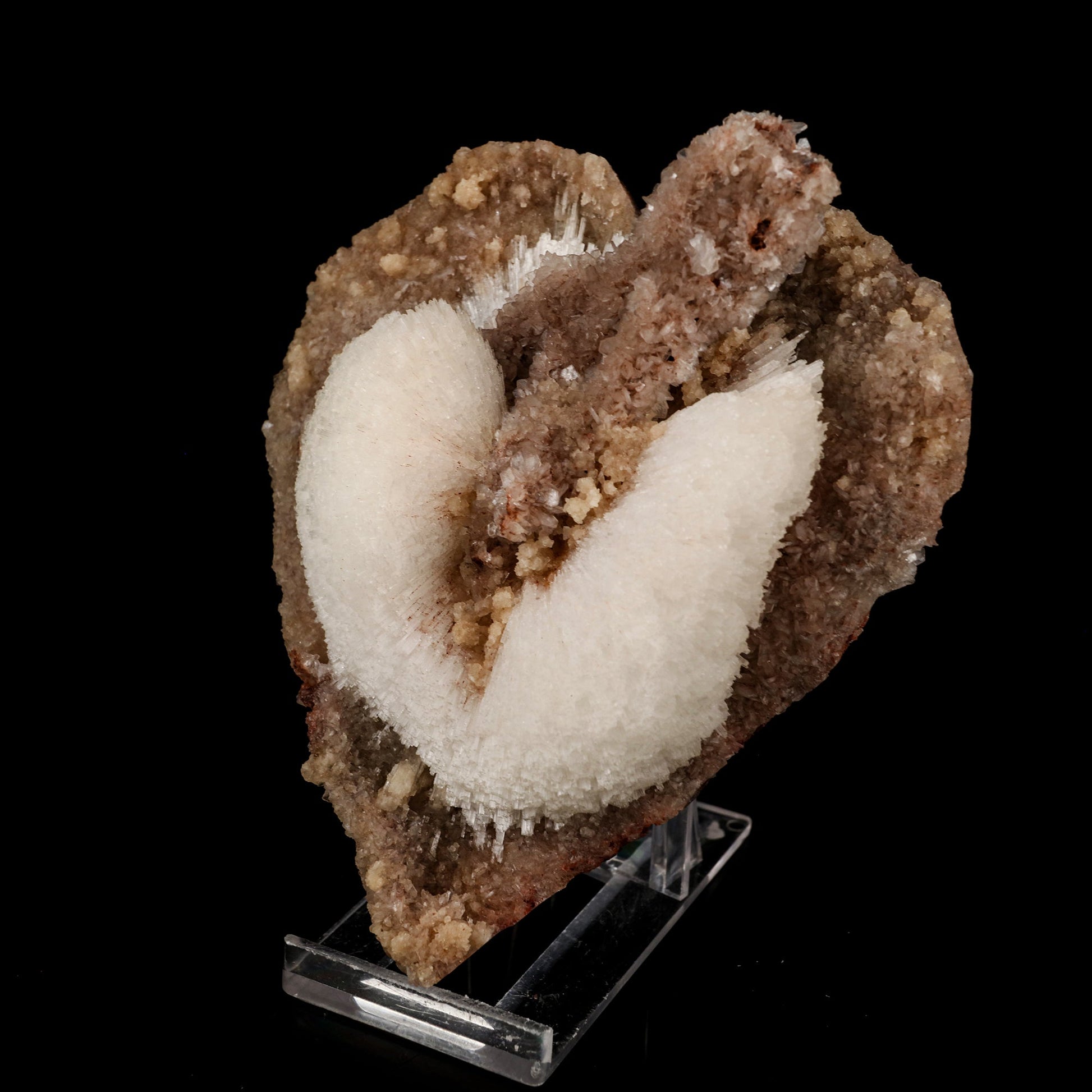 Scolecite on Stilbite Heart Shape Natural Mineral Specimen # B 6132 Scolecite Superb Minerals 