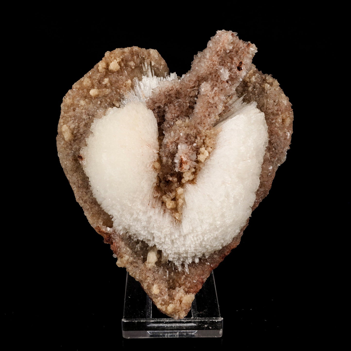 Scolecite on Stilbite Heart Shape Natural Mineral Specimen # B 6132 Scolecite Superb Minerals 