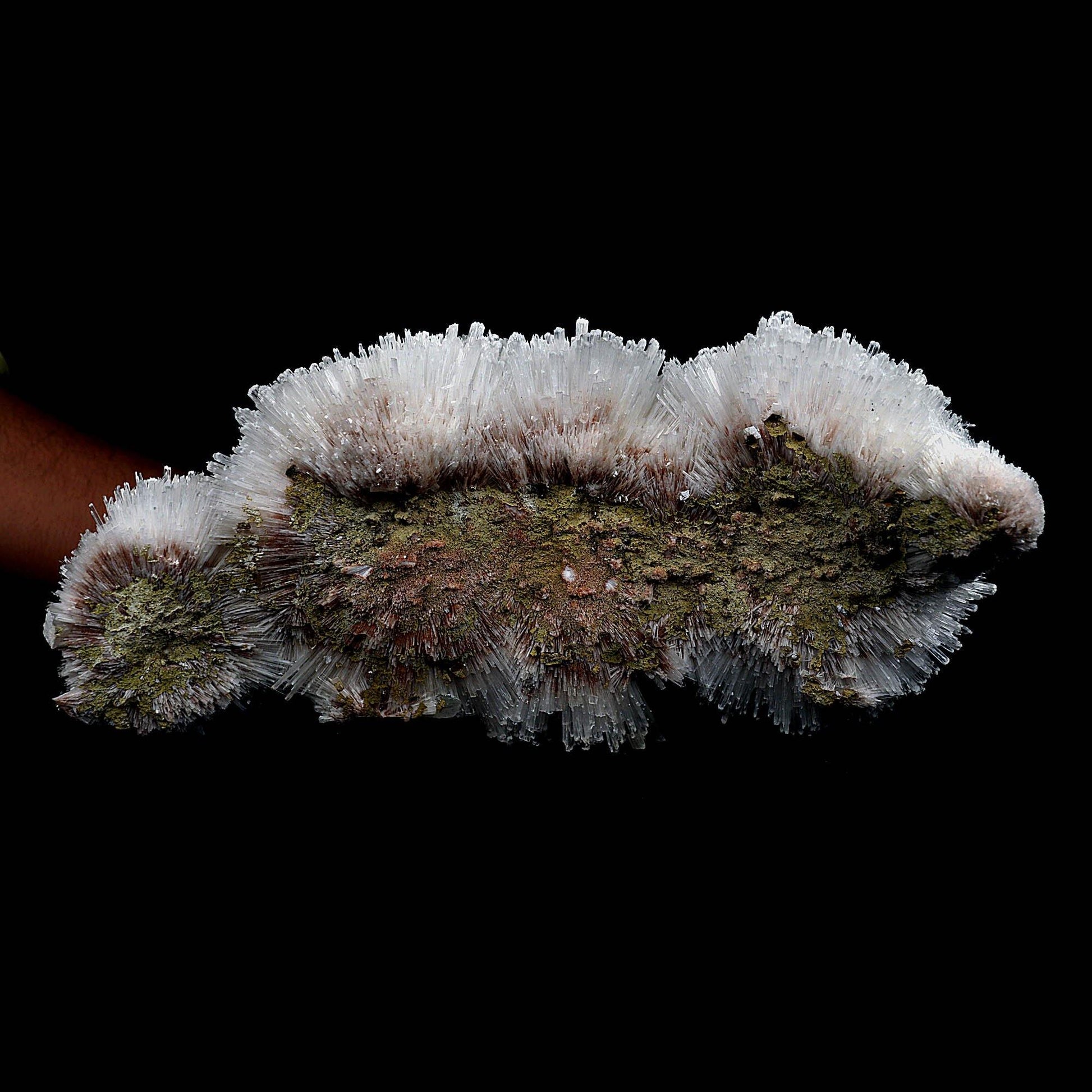 Scolecite Sphere on Matrix Natural Mineral Specimen # B 4763  https://www.superbminerals.us/products/scolecite-sphere-on-matrix-natural-mineral-specimen-b-4763  Features: This is a very rare and sculptural "starburst" of scolecite lathes from recent Pune discoveries that are thick, terminated, glassy, clear to translucent. By the time the blades reach the center of the piece, they have become quite compact. Colorless apophyllite crystals, strewn around like confetti,