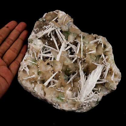 Scolecite Spray and Stilbite Natural Mineral Specimen # B 5403 Scolecite Superb Minerals 