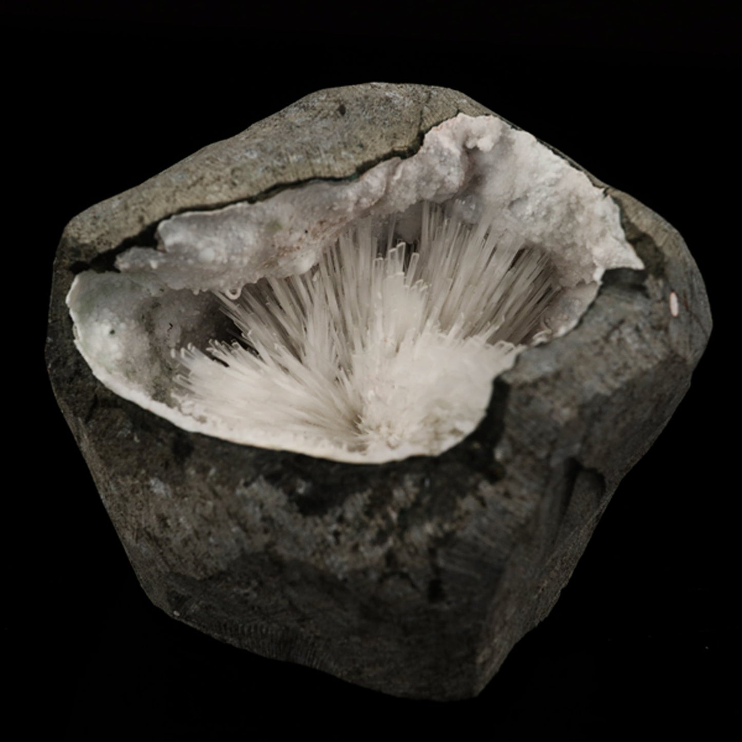 Scolecite Spray Inside Chalcedony Geode Natural Mineral Specimen # B 5636 Scolecite Superb Minerals 