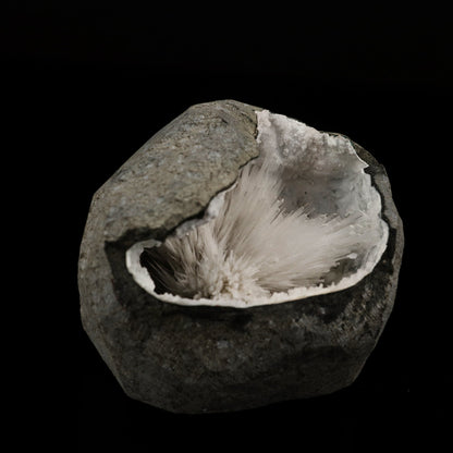Scolecite Spray Inside Chalcedony Geode Natural Mineral Specimen # B 5636 Scolecite Superb Minerals 