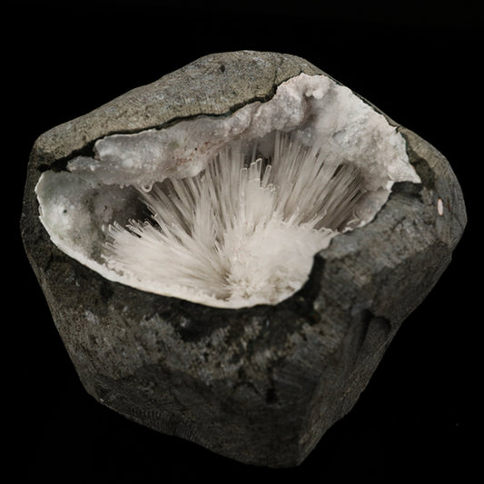 Scolecite Spray Inside Chalcedony Geode Natural Mineral Specimen # B 5636 Scolecite Superb Minerals 