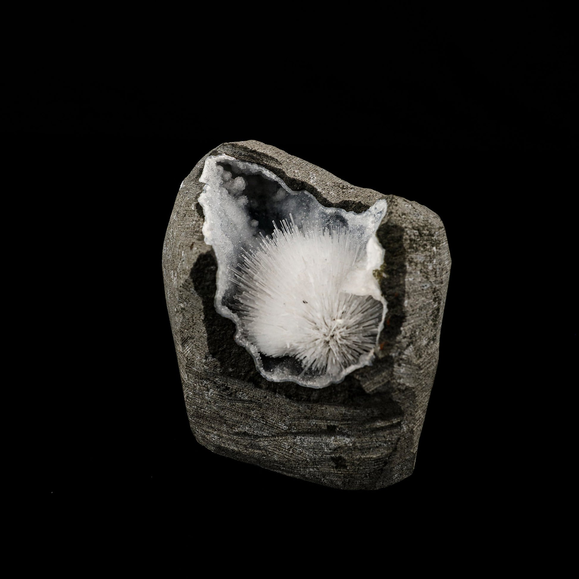 Scolecite Spray Inside Chalcedony Geode Natural Mineral Specimen # B 6068 Scolecite Superb Minerals 