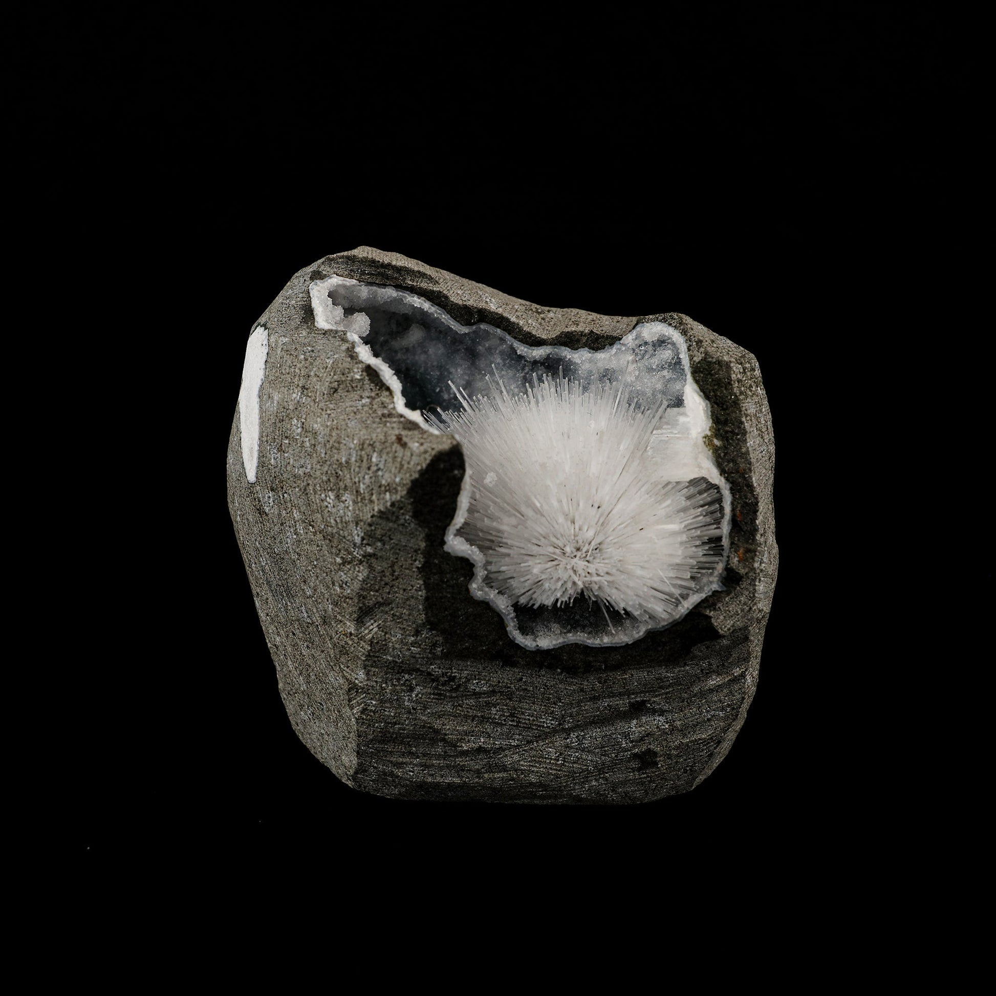Scolecite Spray Inside Chalcedony Geode Natural Mineral Specimen # B 6068 Scolecite Superb Minerals 