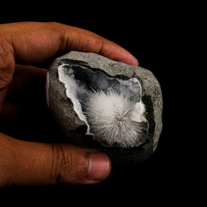 Scolecite Spray Inside Chalcedony Geode Natural Mineral Specimen # B 6068 Scolecite Superb Minerals 