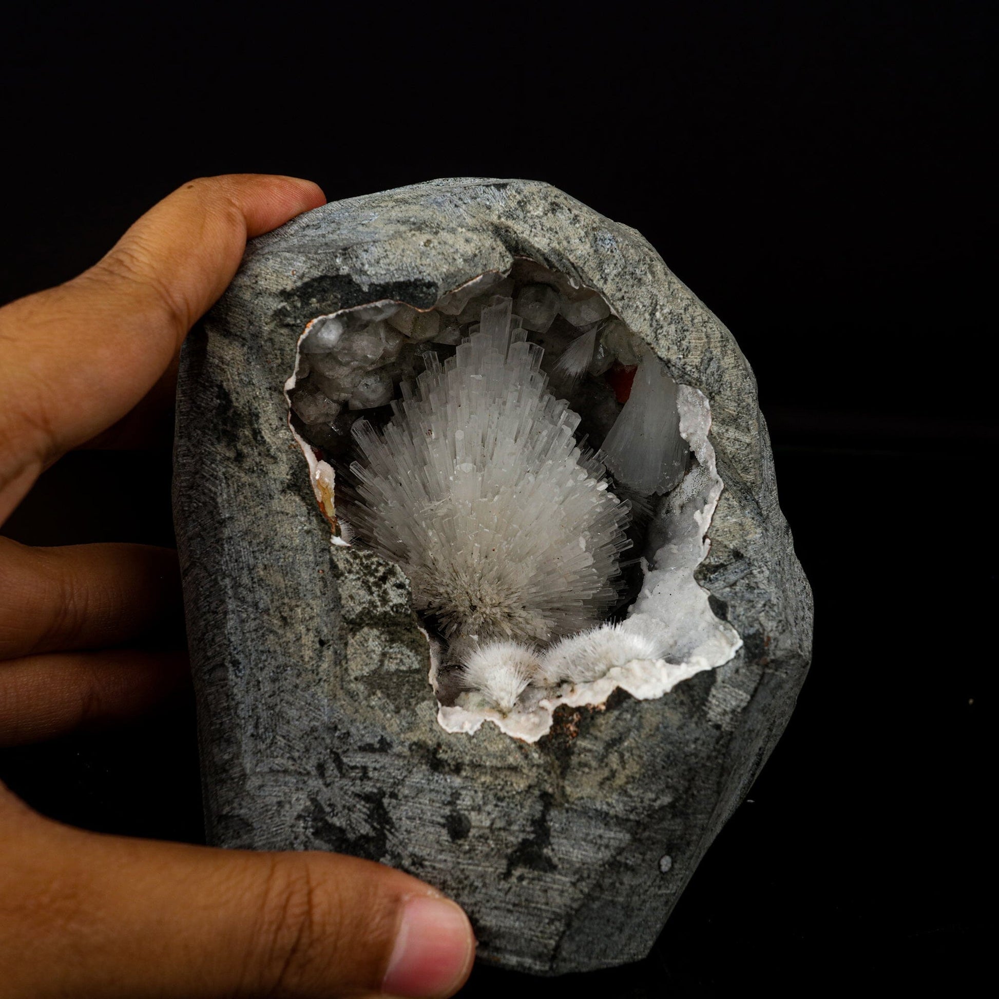 Scolecite Spray Inside Geode Natural Mineral Specimen # B 6717 Scolecite Superb Minerals 