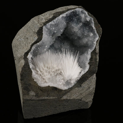 Scolecite Spray Inside MM Quartz Geode Natural Mineral Specimen # B 5921 Scolecite Superb Minerals 