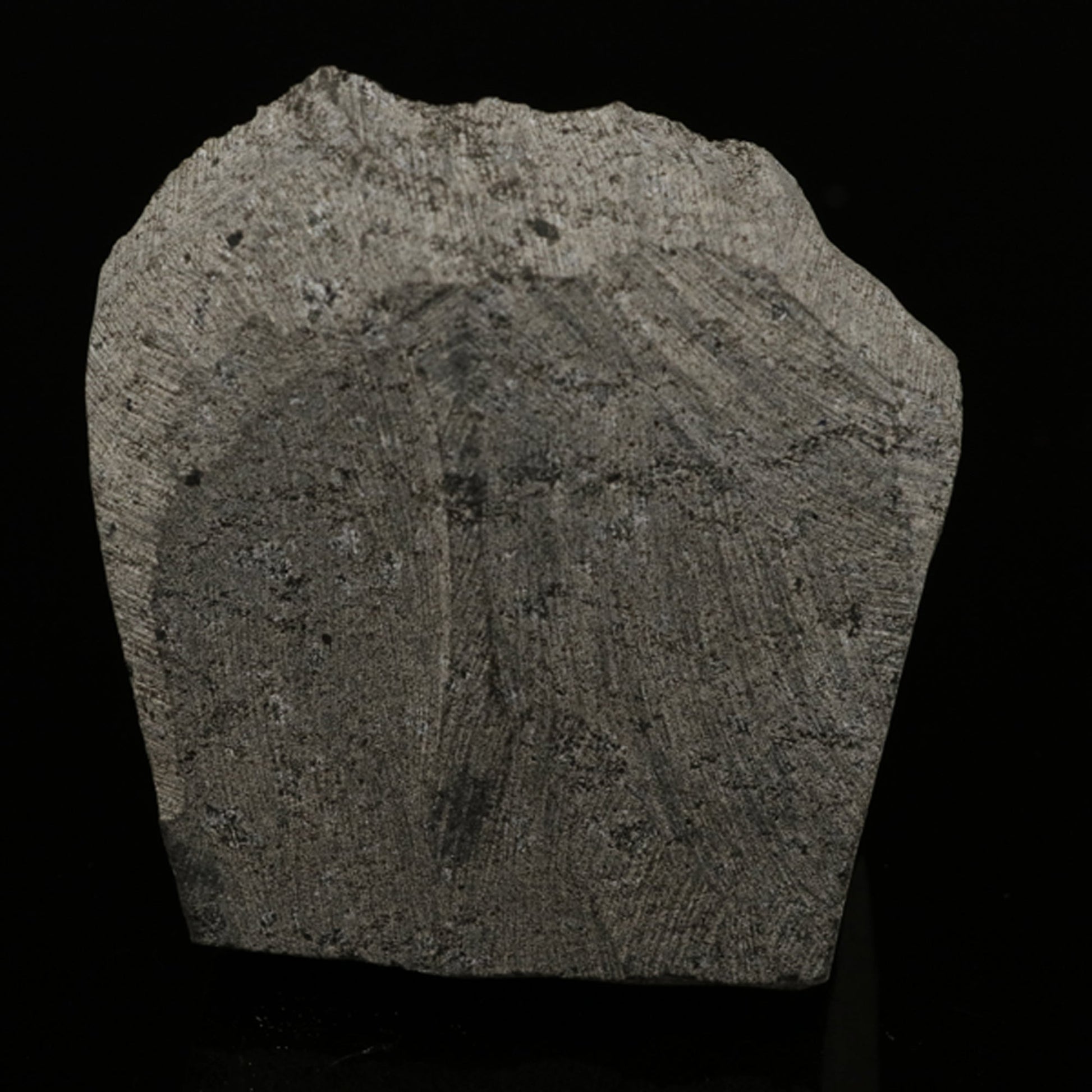 Scolecite Spray Inside MM Quartz Geode Natural Mineral Specimen # B 5921 Scolecite Superb Minerals 