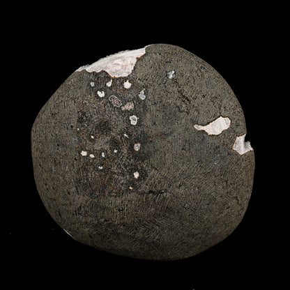 Scolecite Spray Inside MM Quartz Geode Natural Mineral Specimen # B 6311 Thomsonite Superb Minerals 
