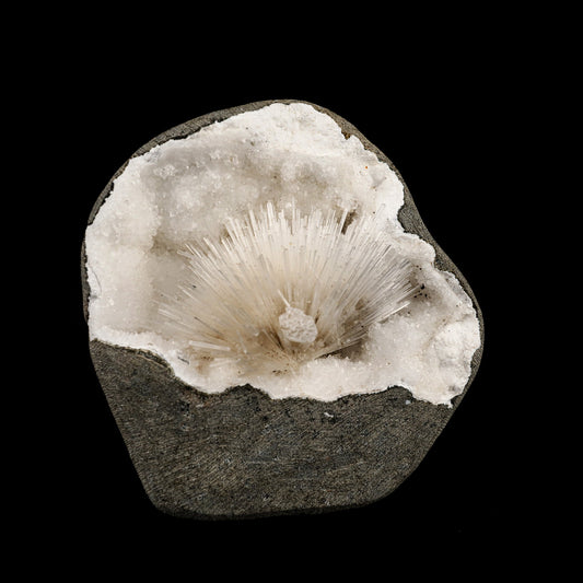 Scolecite Spray Inside MM Quartz Geode Natural Mineral Specimen # B 6330 Scolecite Superb Minerals 