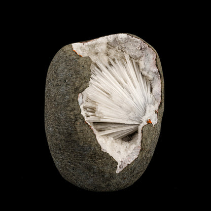 Scolecite Spray Inside MM Quartz Geode Natural Mineral Specimen # B 6335 Thomsonite Superb Minerals 