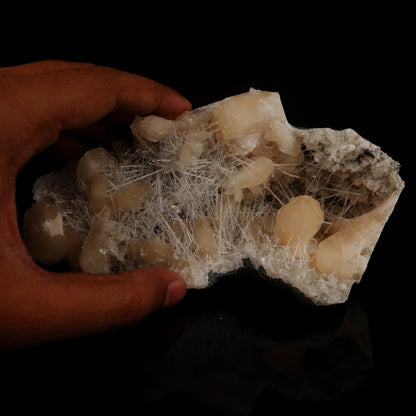 Scolecite Spray inside Stilbite geode Natural Mineral Specimen # B 5501 Scolecite Superb Minerals 