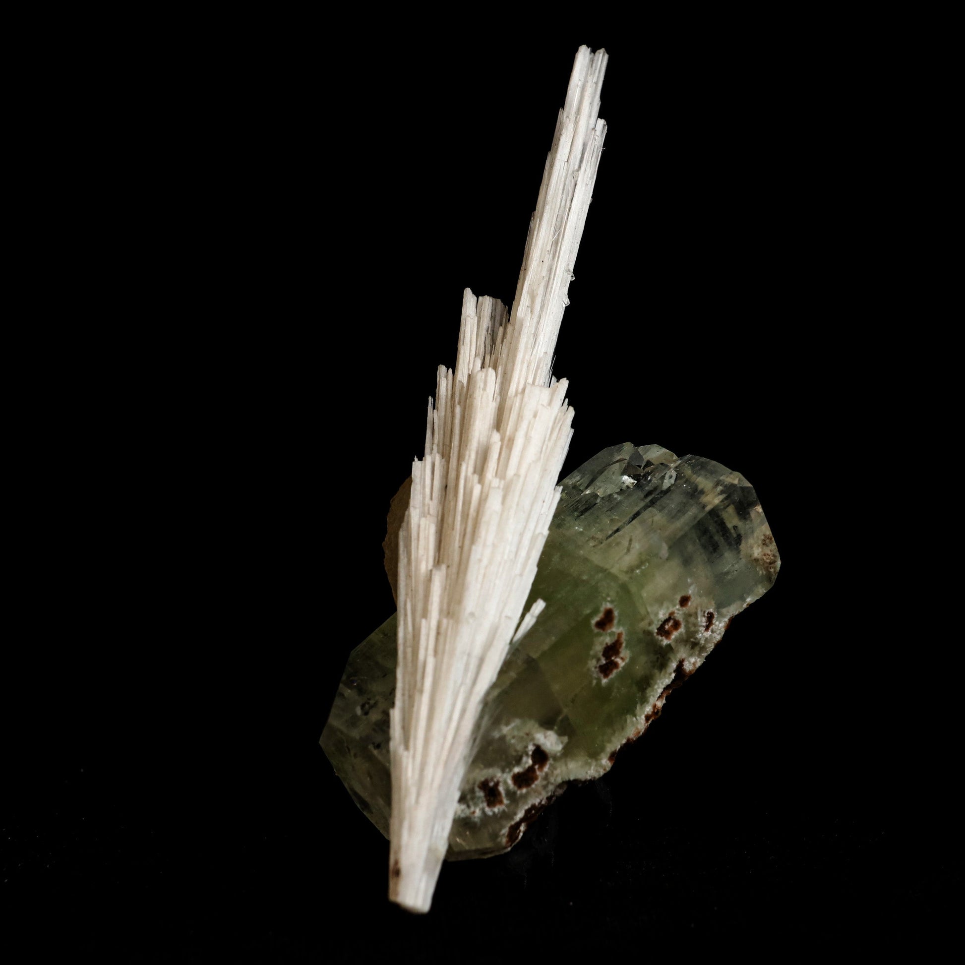 Scolecite Spray on Green Apophyllite with Stilbite Natural Mineral Spe…  https://www.superbminerals.us/products/scolecite-spray-on-green-apophyllite-with-stilbite-natural-mineral-specimen-b-5044  Features: A very large, tapered spray of elongated colorless Scolecite crystals. There is a small remnant of matrix attached with a small Stilbite crystal & light green apophyllite crystals. The Scolecite crystals are glassy and highly translucent with transparent terminations. A beautiful specimen in excellent 