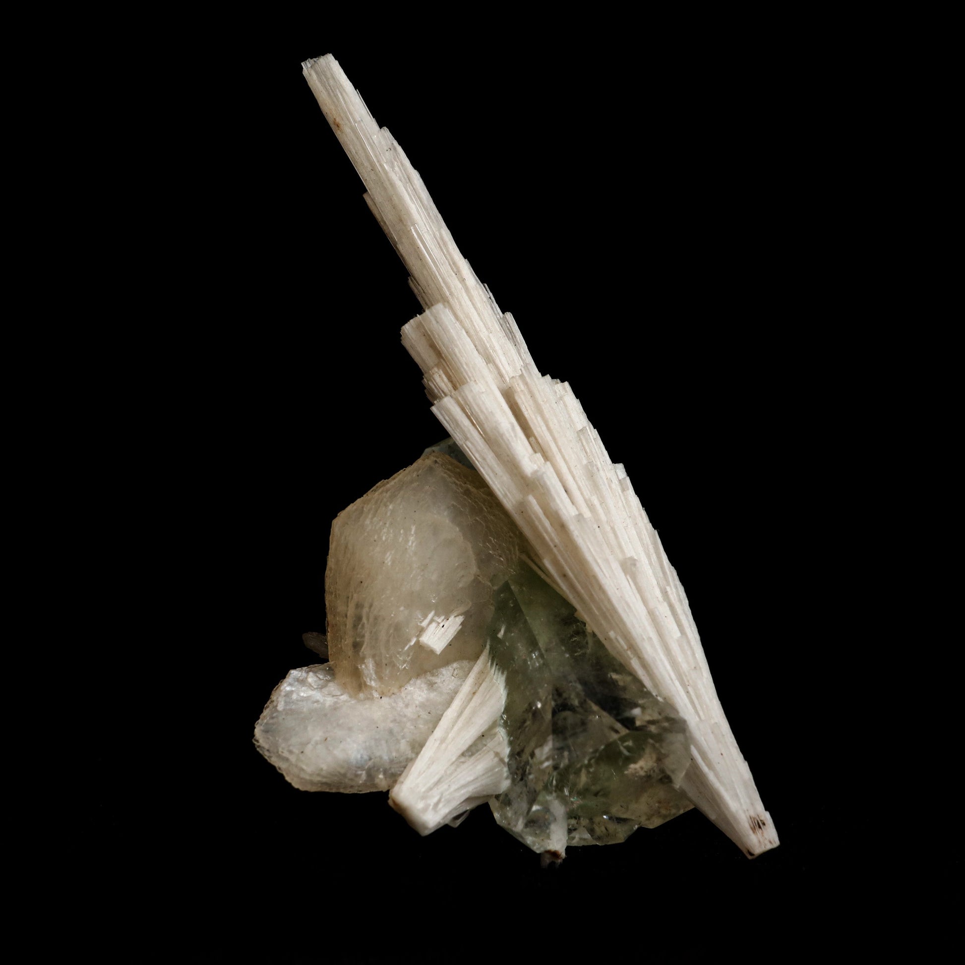 Scolecite Spray on Green Apophyllite with Stilbite Natural Mineral Spe…  https://www.superbminerals.us/products/scolecite-spray-on-green-apophyllite-with-stilbite-natural-mineral-specimen-b-5044  Features: A very large, tapered spray of elongated colorless Scolecite crystals. There is a small remnant of matrix attached with a small Stilbite crystal & light green apophyllite crystals. The Scolecite crystals are glassy and highly translucent with transparent terminations. A beautiful specimen in excellent 