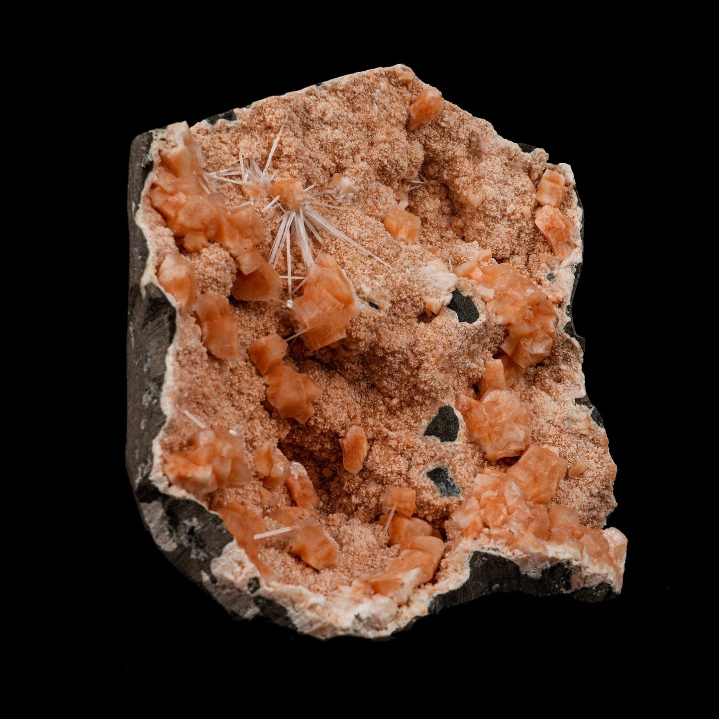 Scolecite Spray on Heulandite Natural Mineral Specimen # B 5146  https://www.superbminerals.us/products/scolecite-spray-on-heulandite-natural-mineral-specimen-b-5146  Features: Crystals of milky white scolecite grown on matrix of reddish heulandite. A eye-catching piece featuring a large, upright, freestanding geode lined with peach-colored Heulandite crystals hosting numerous clusters of needle-like Scolecite crystals.&nbsp; Primary Mineral(s): Scolecite Secondary Mineral(s): N/A