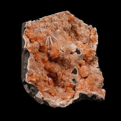 Scolecite Spray on Heulandite Natural Mineral Specimen # B 5146  https://www.superbminerals.us/products/scolecite-spray-on-heulandite-natural-mineral-specimen-b-5146  Features: Crystals of milky white scolecite grown on matrix of reddish heulandite. A eye-catching piece featuring a large, upright, freestanding geode lined with peach-colored Heulandite crystals hosting numerous clusters of needle-like Scolecite crystals.&nbsp; Primary Mineral(s): Scolecite Secondary Mineral(s): N/A