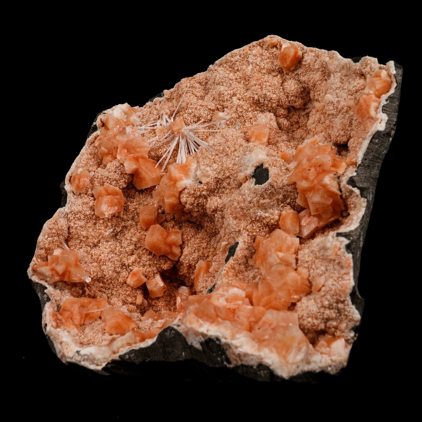 Scolecite Spray on Heulandite Natural Mineral Specimen # B 5146  https://www.superbminerals.us/products/scolecite-spray-on-heulandite-natural-mineral-specimen-b-5146  Features: Crystals of milky white scolecite grown on matrix of reddish heulandite. A eye-catching piece featuring a large, upright, freestanding geode lined with peach-colored Heulandite crystals hosting numerous clusters of needle-like Scolecite crystals.&nbsp; Primary Mineral(s): Scolecite Secondary Mineral(s): N/A