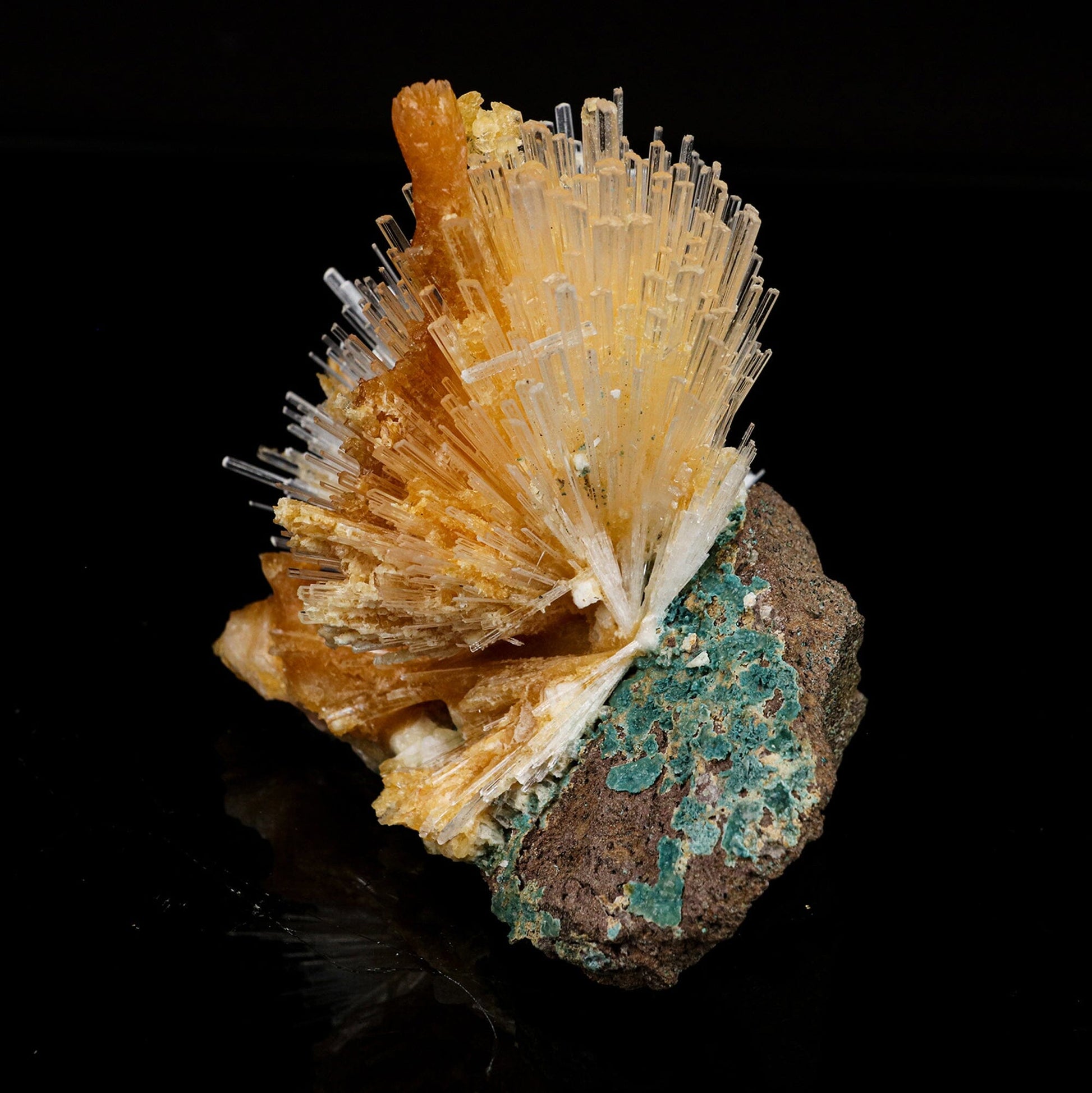 Scolecite Spray With Calcite Stalactites Natural Mineral Specimen # B 6696 Scolecite Superb Minerals 