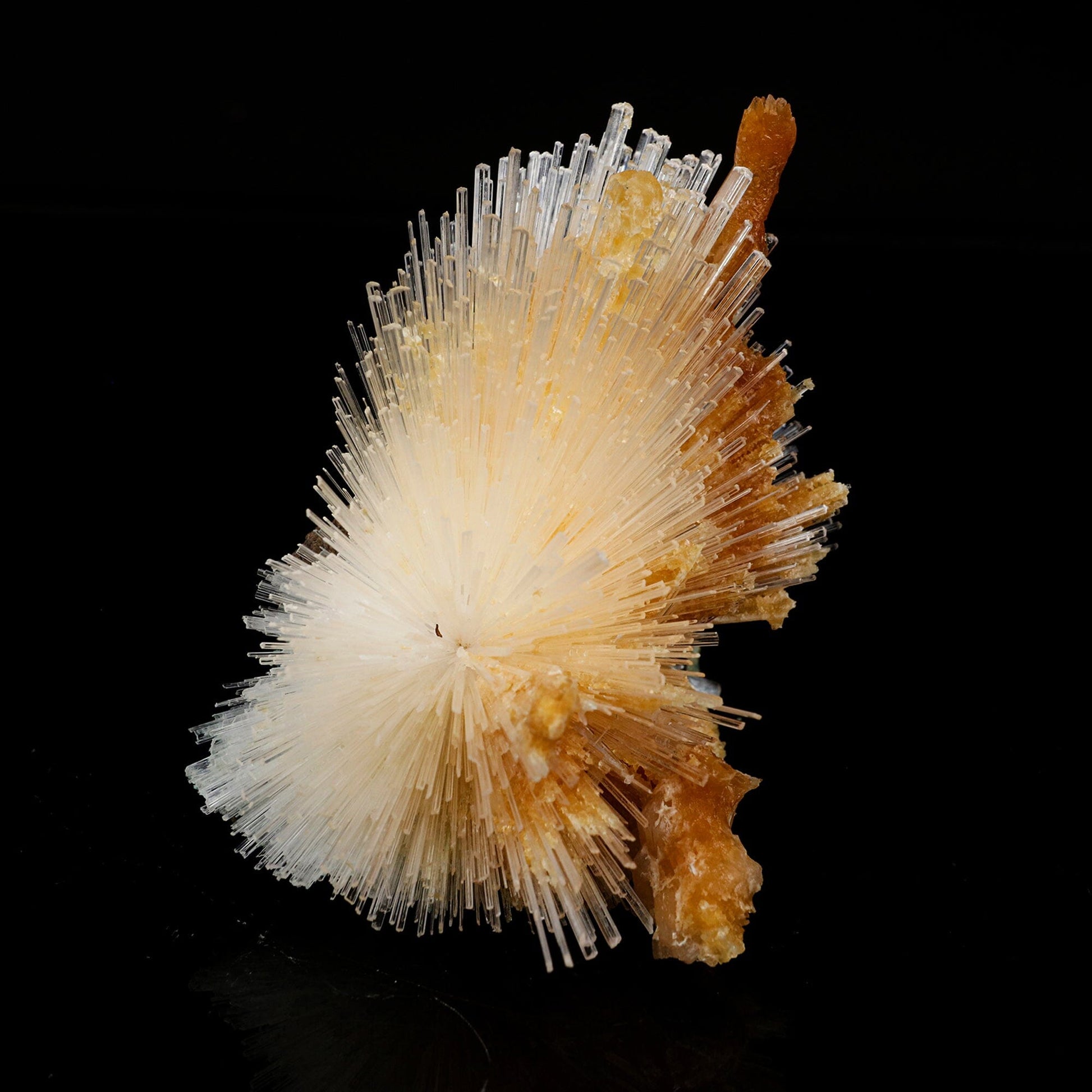 Scolecite Spray With Calcite Stalactites Natural Mineral Specimen # B 6696 Scolecite Superb Minerals 