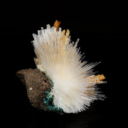 Scolecite Spray With Calcite Stalactites Natural Mineral Specimen # B 6696 Scolecite Superb Minerals 