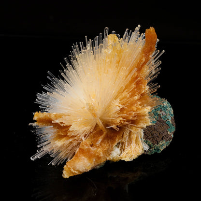 Scolecite Spray With Calcite Stalactites Natural Mineral Specimen # B 6696 Scolecite Superb Minerals 