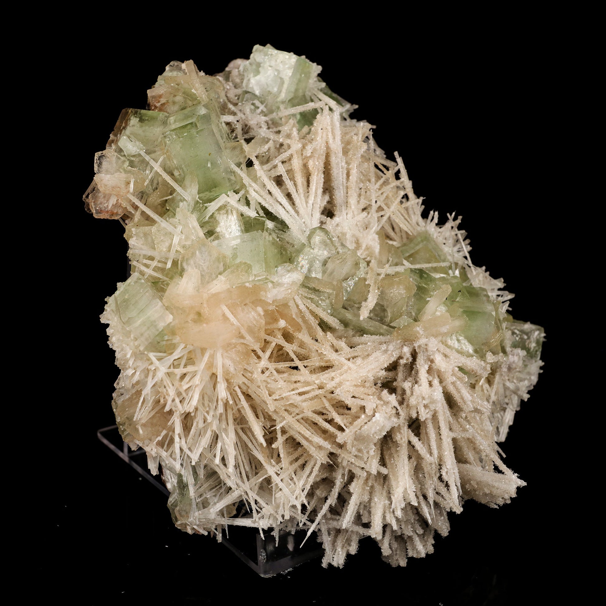 Scolecite Spray With Green Apophyllite Natural Mineral Specimen # B 5911 Scolecite Superb Minerals 