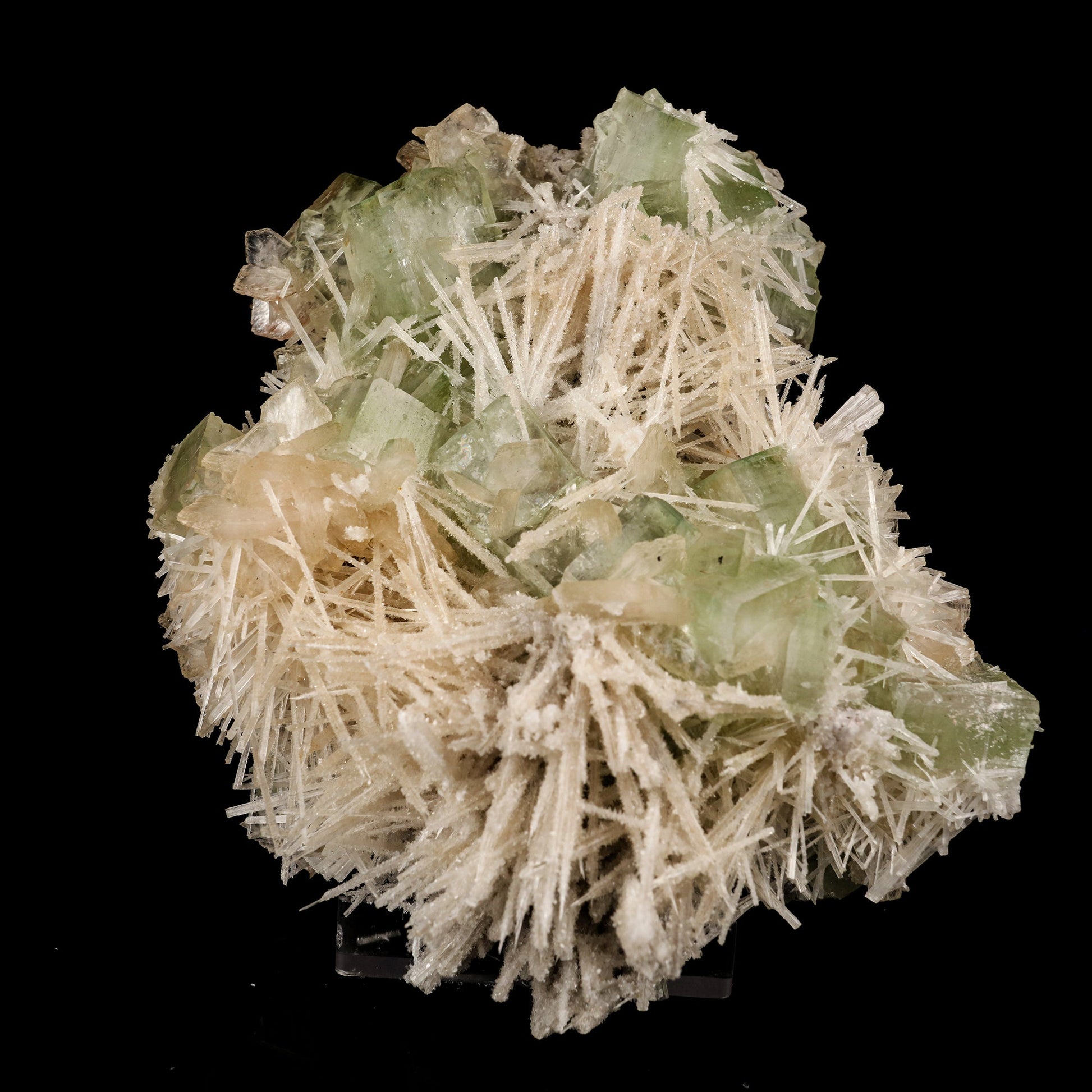 Scolecite Spray With Green Apophyllite Natural Mineral Specimen # B 5911 Scolecite Superb Minerals 