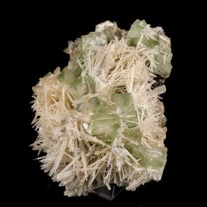 Scolecite Spray With Green Apophyllite Natural Mineral Specimen # B 5911 Scolecite Superb Minerals 