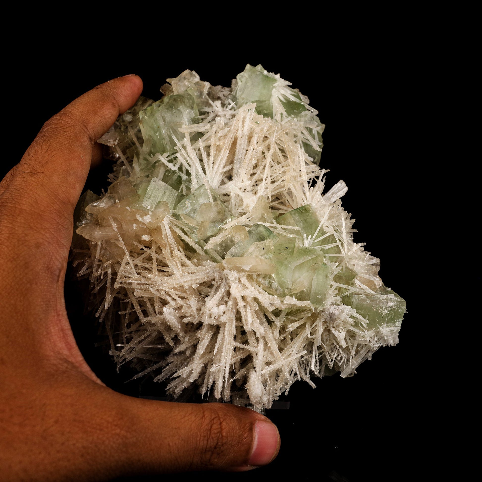 Scolecite Spray With Green Apophyllite Natural Mineral Specimen # B 5911 Scolecite Superb Minerals 
