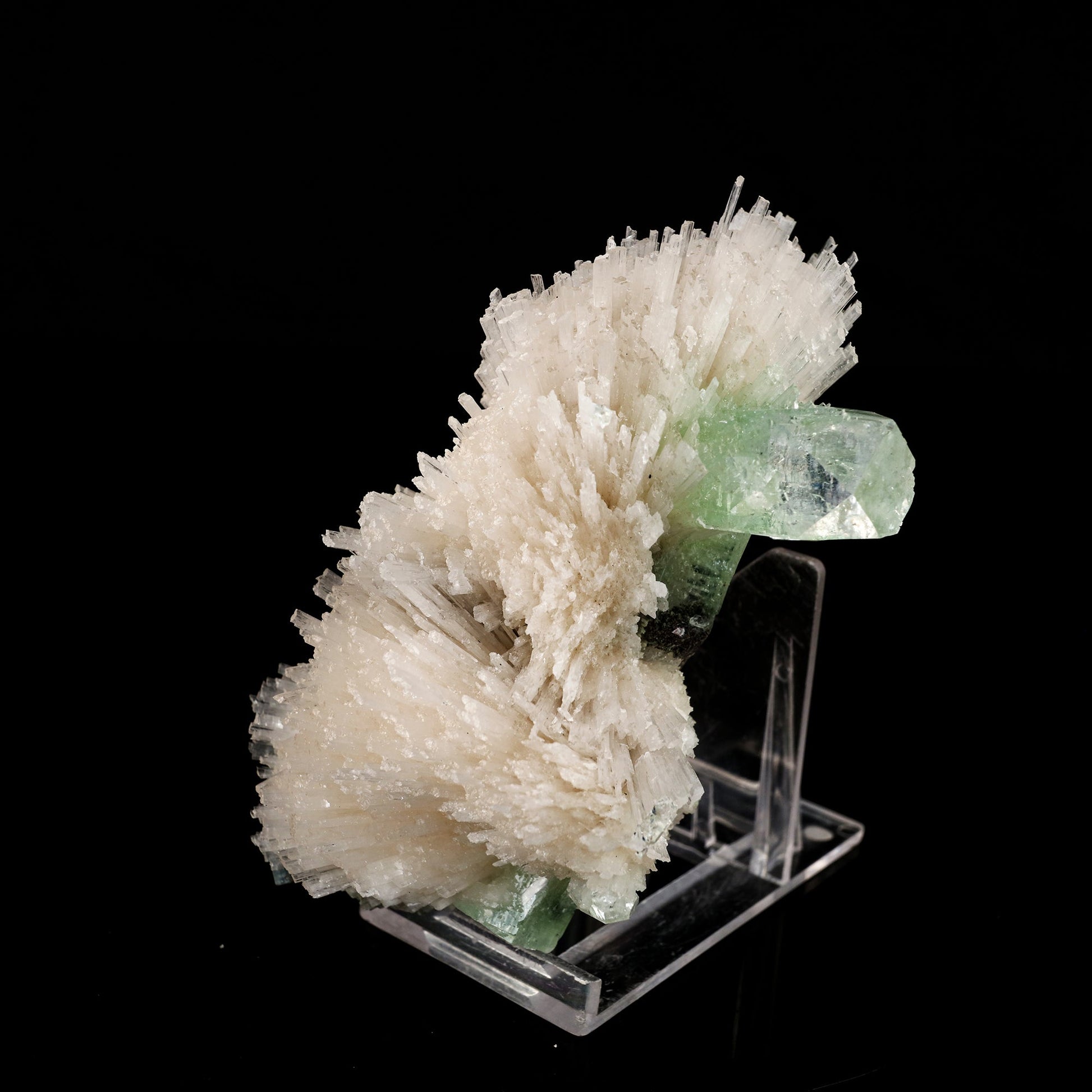 Scolecite Spray with Green Apophyllite Natural Mineral Specimen # B 6056 Apophyllite Superb Minerals 