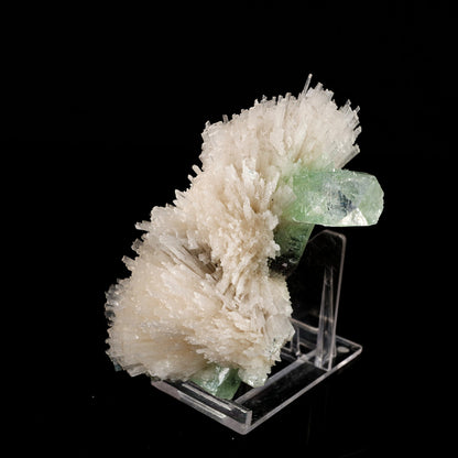 Scolecite Spray with Green Apophyllite Natural Mineral Specimen # B 6056 Apophyllite Superb Minerals 