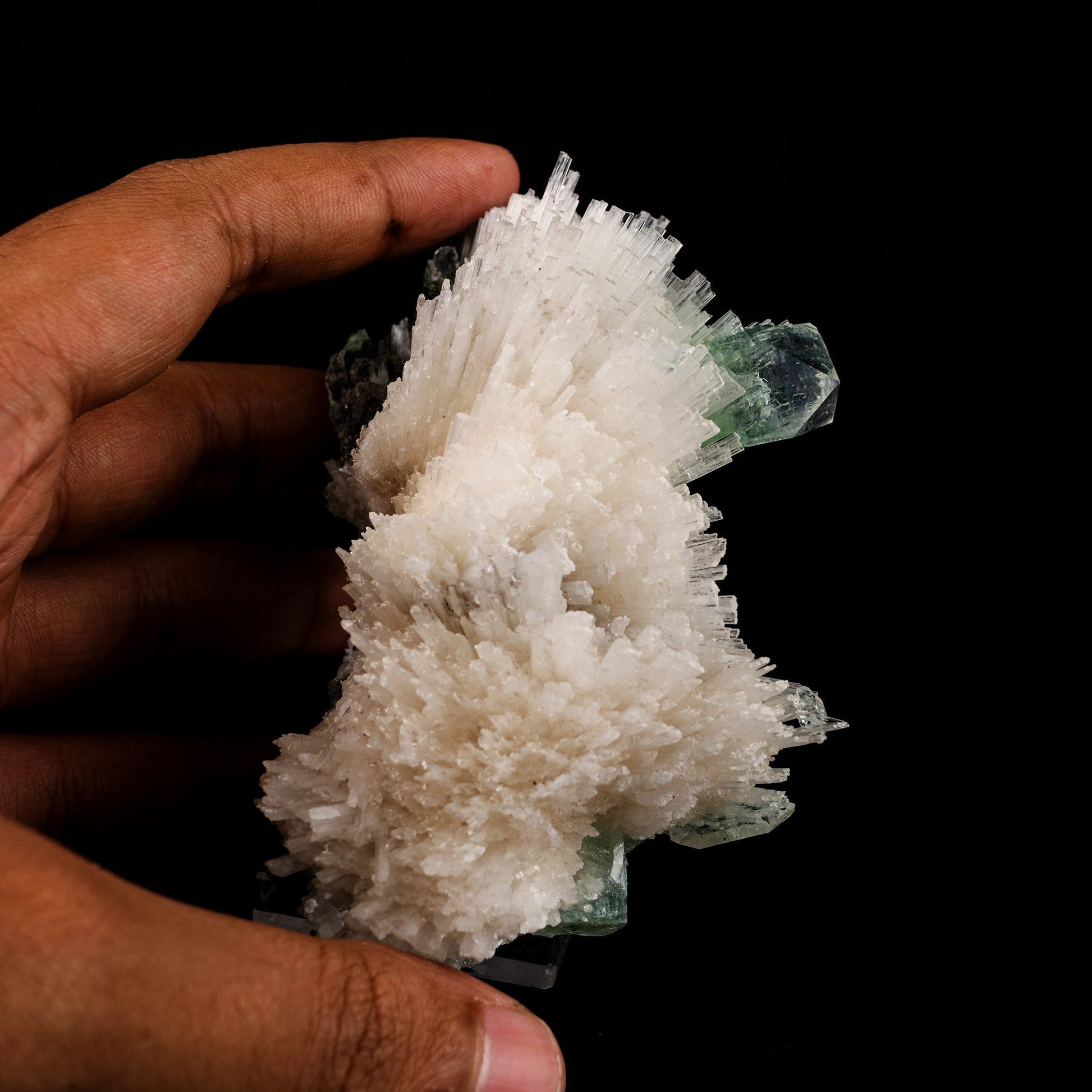 Scolecite Spray with Green Apophyllite Natural Mineral Specimen # B 6056 Apophyllite Superb Minerals 
