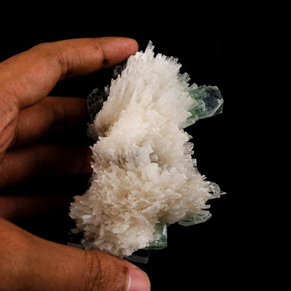 Scolecite Spray with Green Apophyllite Natural Mineral Specimen # B 6056 Apophyllite Superb Minerals 