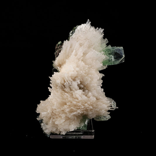 Scolecite Spray with Green Apophyllite Natural Mineral Specimen # B 6056 Apophyllite Superb Minerals 
